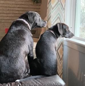 Meet your Posher, Miranda